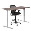 Best Seller dual motor 3segment height adjustable desk